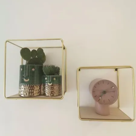 شقة Cosy Avec Terrasse St Barthelemy *