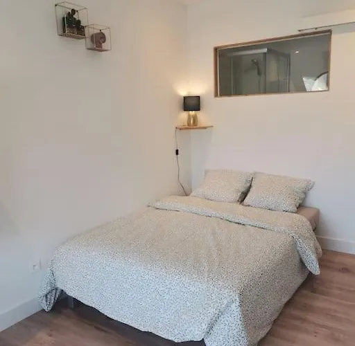 Cosy Avec Terrasse St Barthelemy Apartamento Saint-Barthelemy-d'Anjou